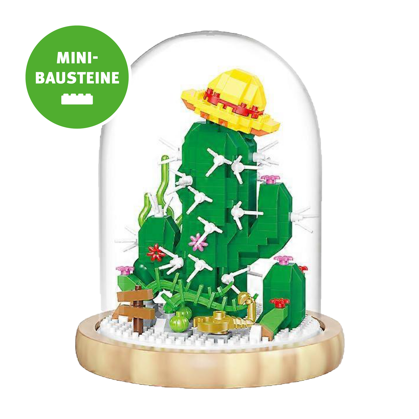 Blume im Glas: Kaktus