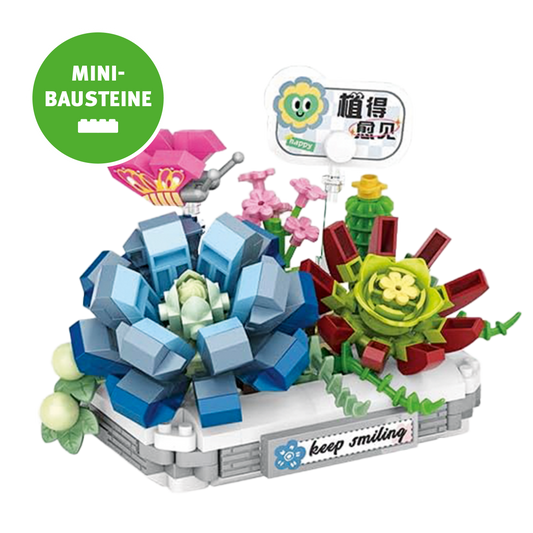 Blume im Topf: Keep Smiling