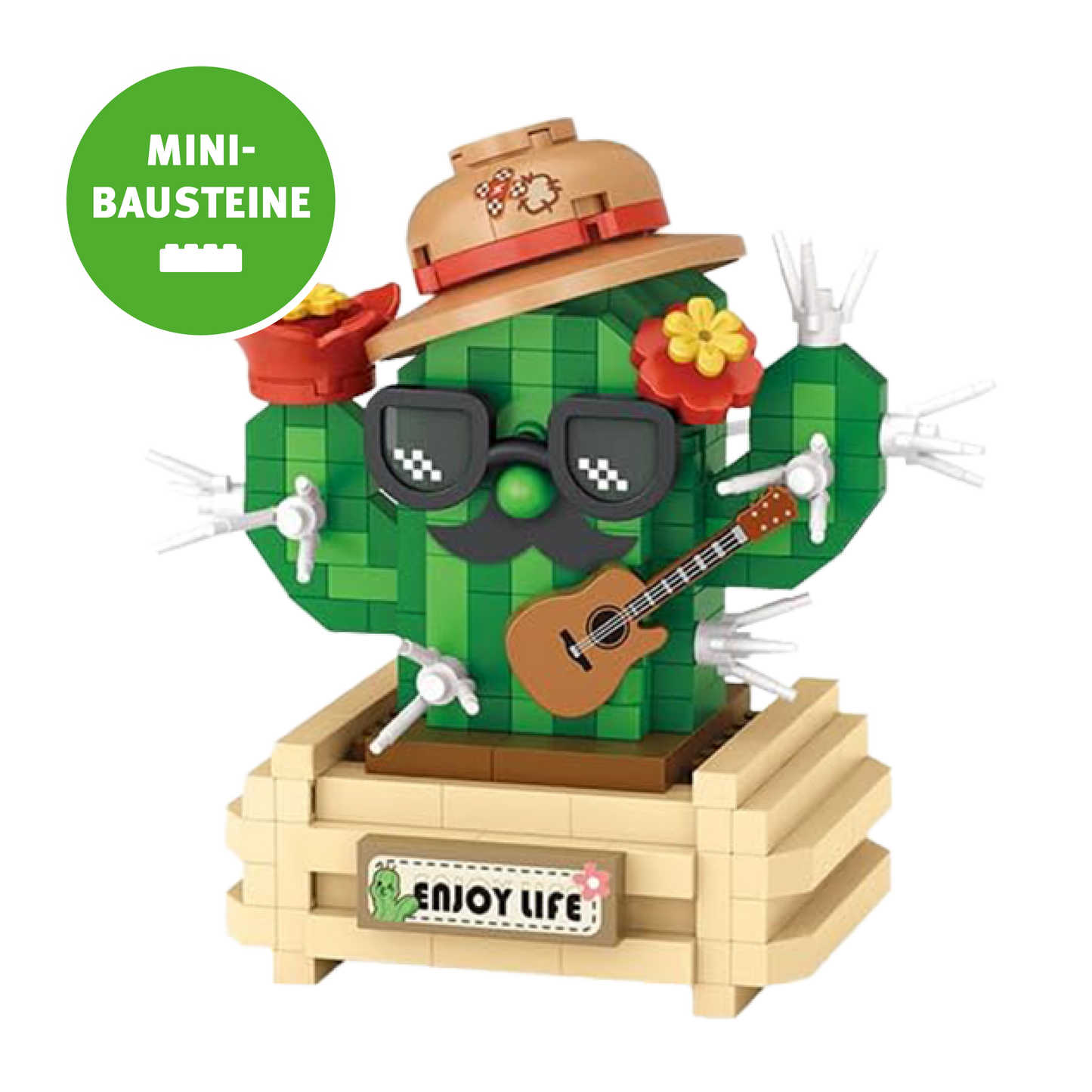 Kaktus im Topf: «Enjoy Life»
