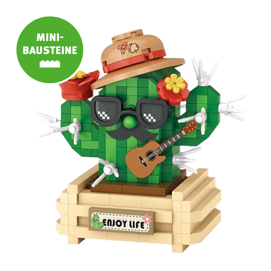 Kaktus im Topf: «Enjoy Life»