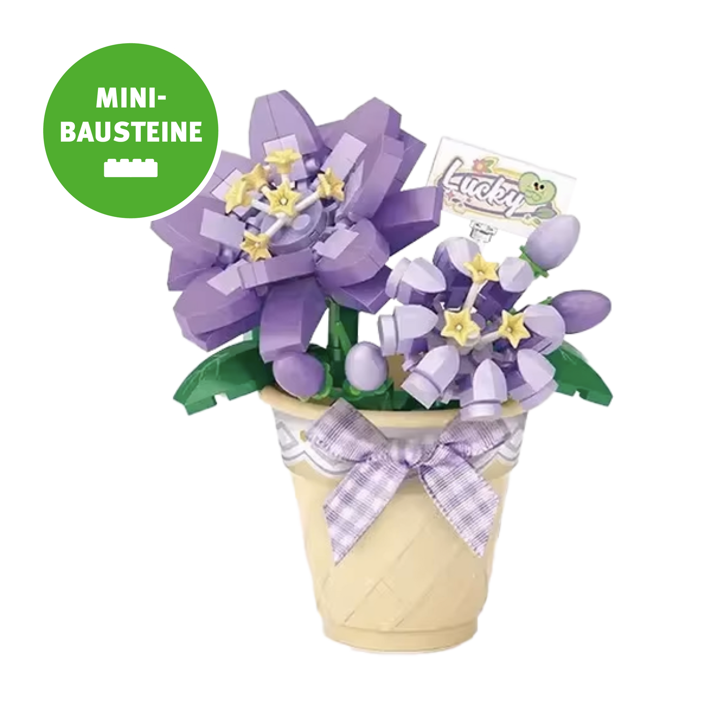 Blume im Topf: Lucky