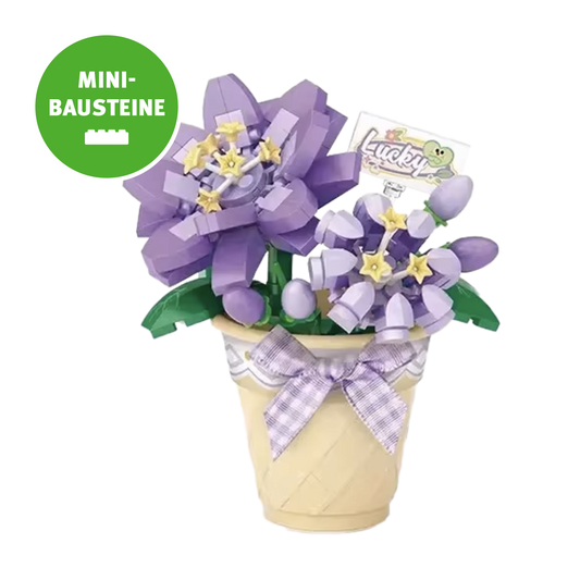 Blume im Topf: Lucky