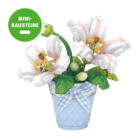 Blume im Topf: Lily